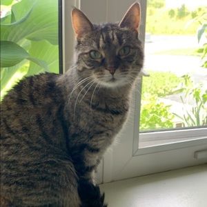 Meet your Posher, Stephanie